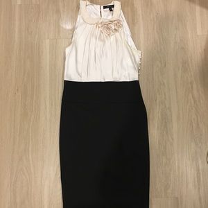 Form-Fitting BCBG Dress